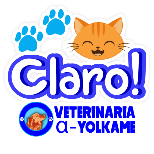 Yolkame Frases 11