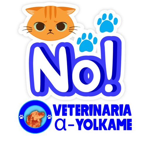 Yolkame Frases 15