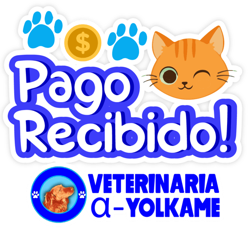 Yolkame Frases 19