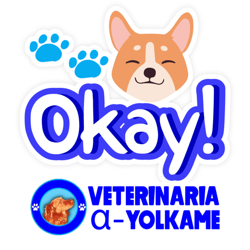 Yolkame Frases 10