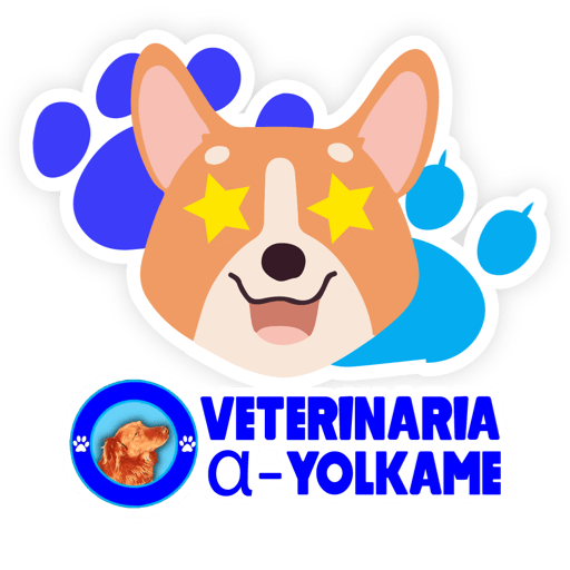 Yolkame Frases 29