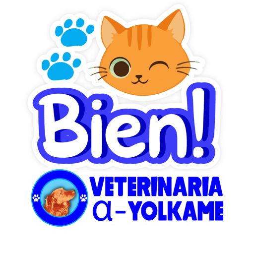 Yolkame Frases 9