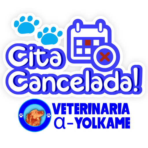 Yolkame Frases 22