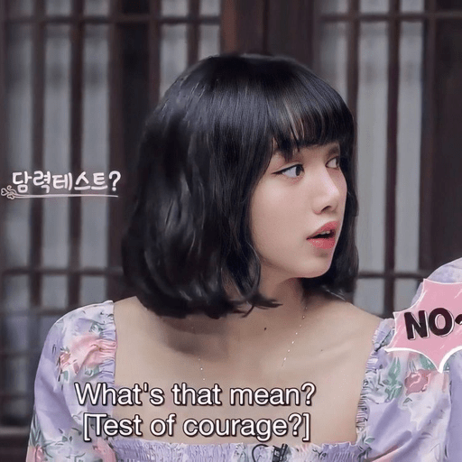 Lisa blackpink 26