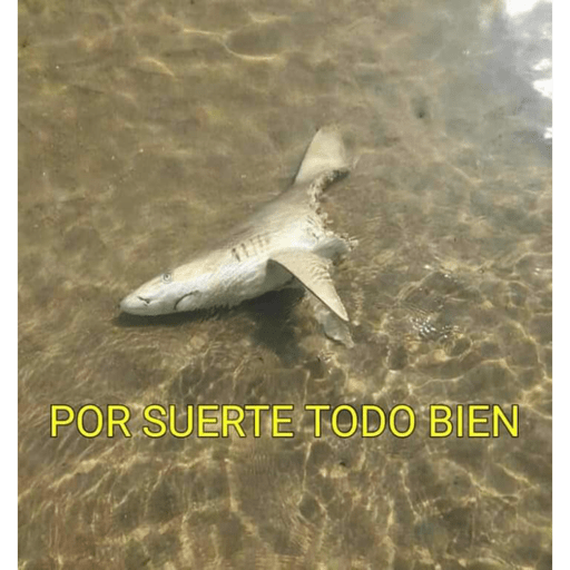 El era un federal