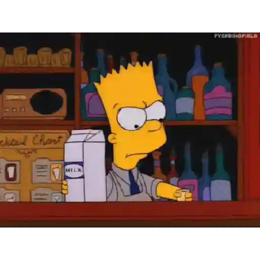 Os Simpsons 13