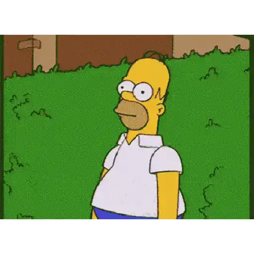 Os Simpsons 11