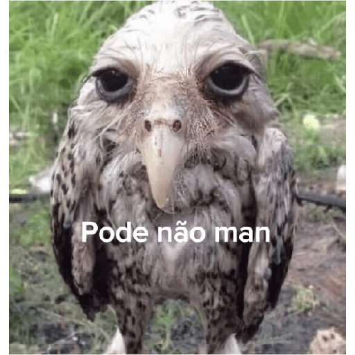 Pode não man 🫥