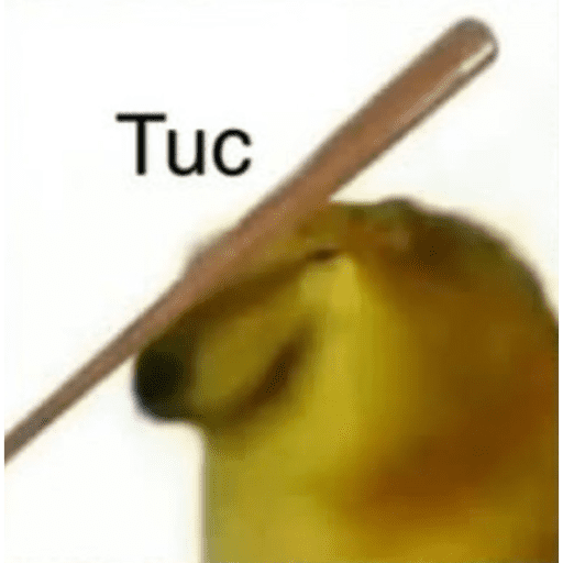 MEMES 29