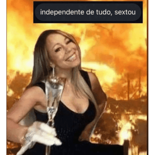 MEMES 14