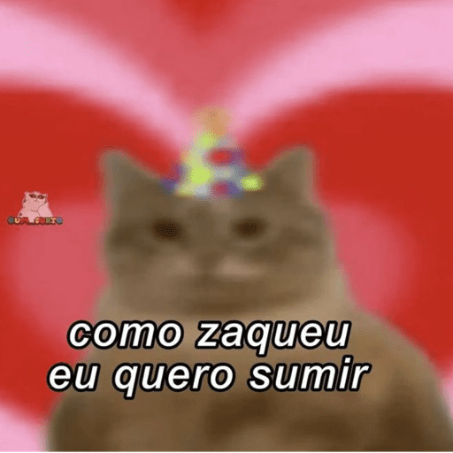 MEMES 17