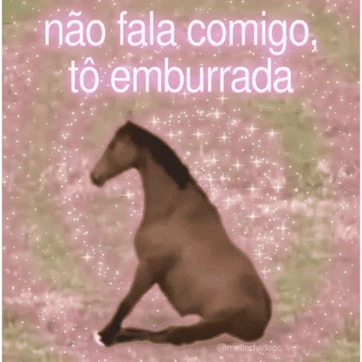 MEMES 9