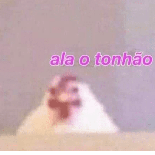 MEMES 8