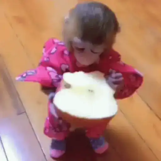 Macaco  2