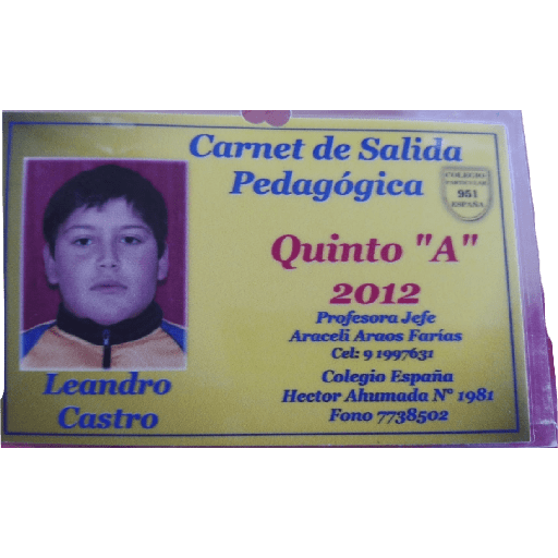 Mis pegatinas 29