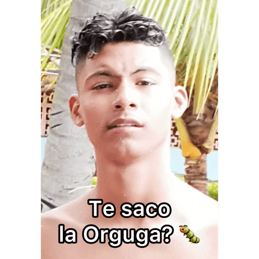 Tostones2 16