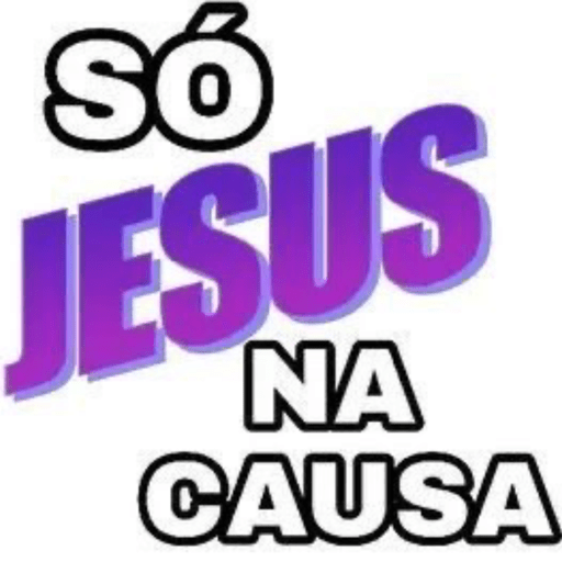 NOVEMBRO  6
