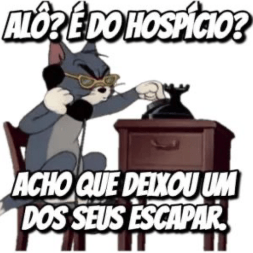 NOVEMBRO  27
