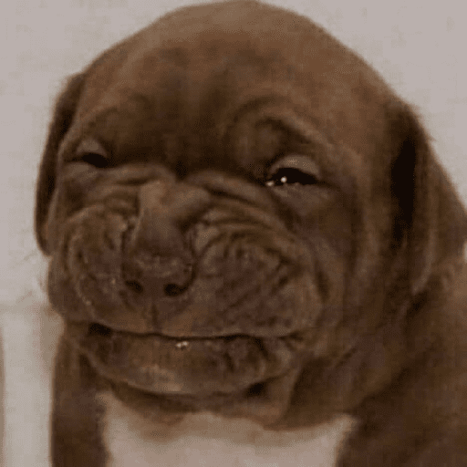 Me enamore de una toxica  25