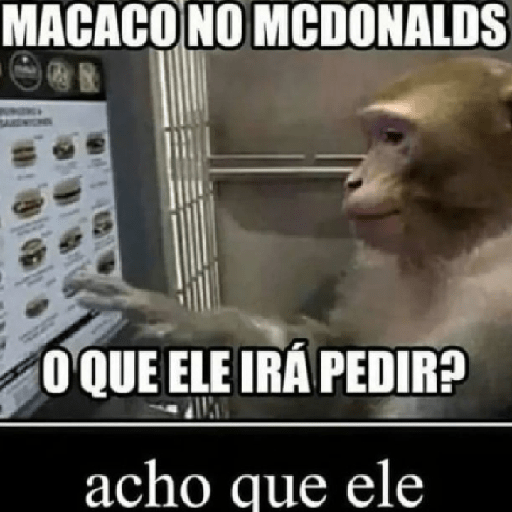 o dono do sol 7