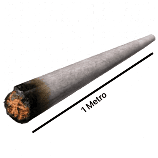 Noselol🔥 2