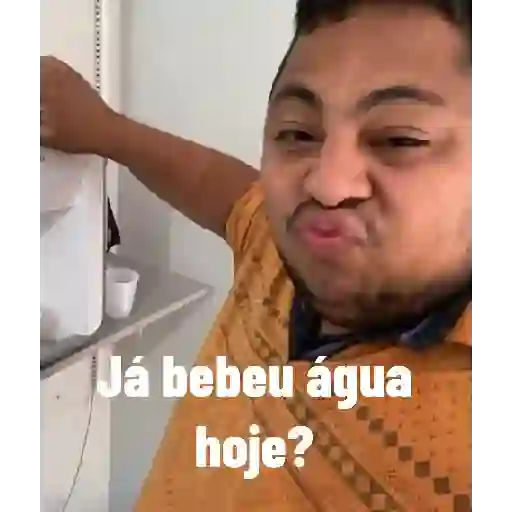 Macaquinho 5
