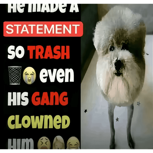 BLM 7