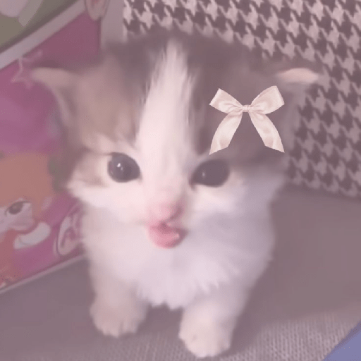 స్టికర్