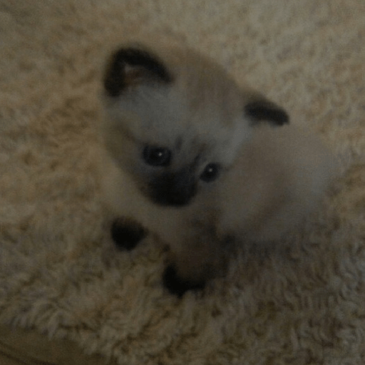 స్టికర్