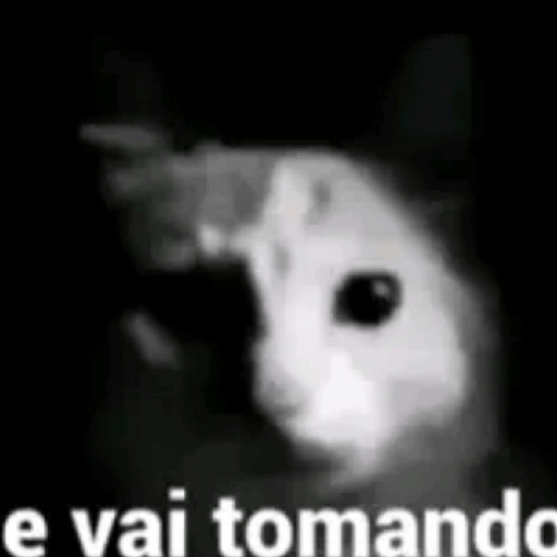 ملصق