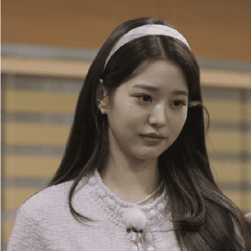🎀Wonyoung/IVE🎀 17