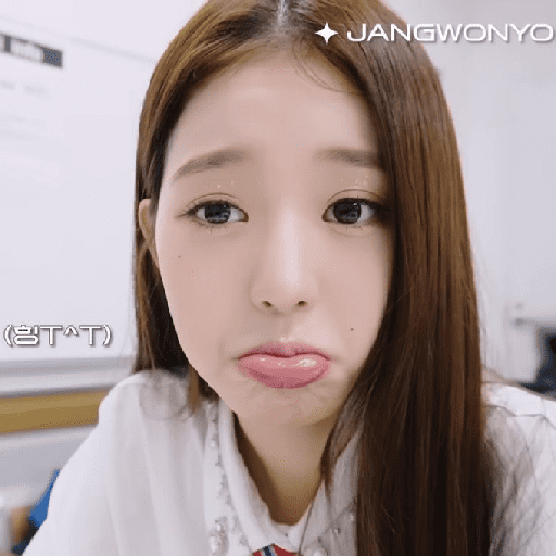 🎀Wonyoung/IVE🎀 19
