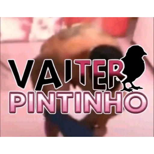 Bixo feio