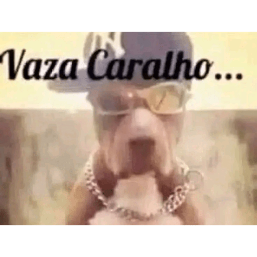 Bixo feio