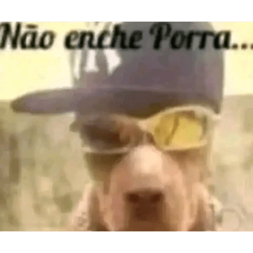 Bixo feio