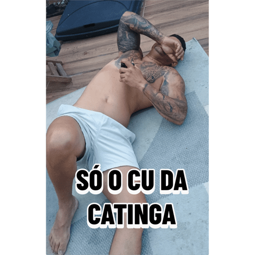 Minhas figurinhas 10