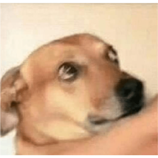 NOOOoooo 8