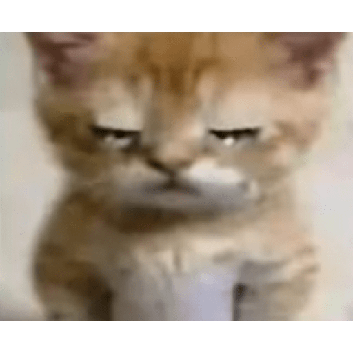 NOOOoooo 2