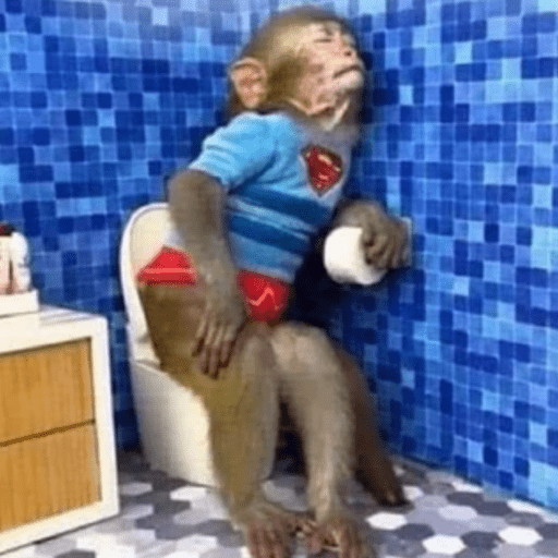 Macaquinho  2