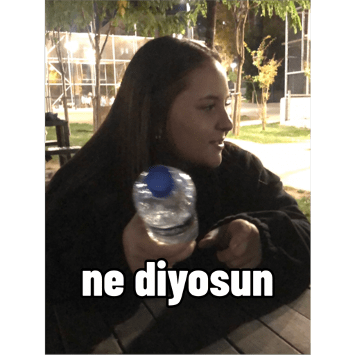 Çıkartmalarım 6
