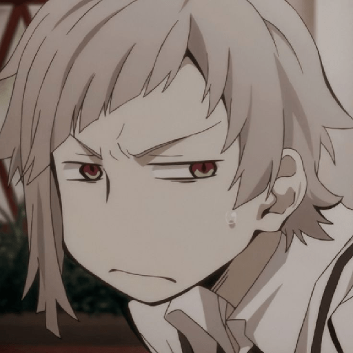 Bungou stray dogs 5
