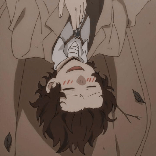 Bungou stray dogs 11
