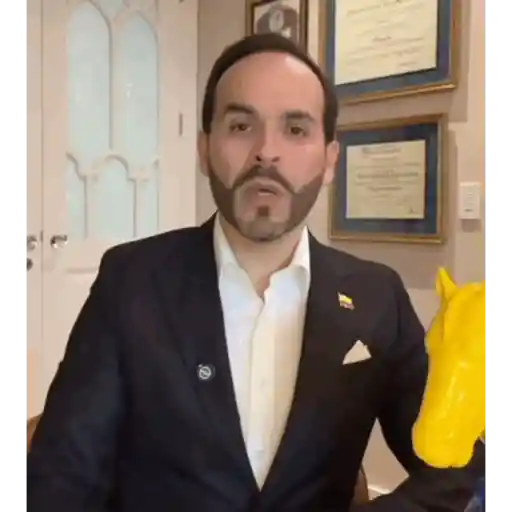 Mi presidente  2