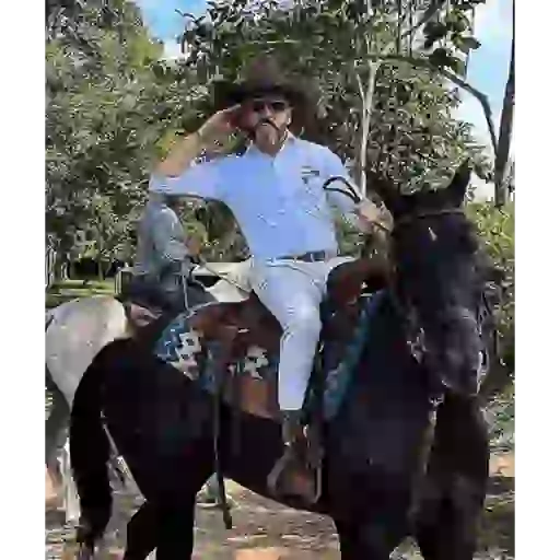 Mi presidente  7