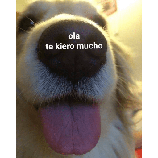 Sticker 2