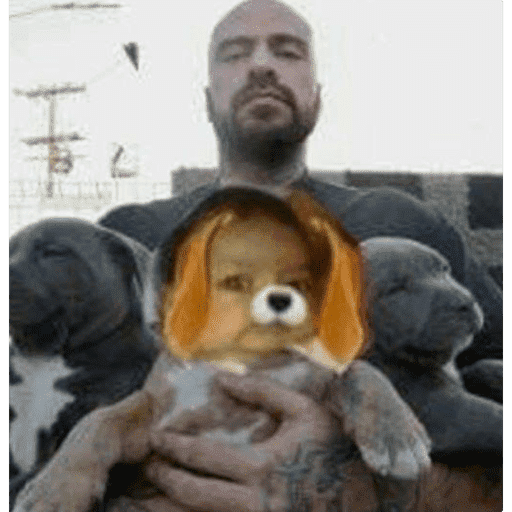 Miau 
