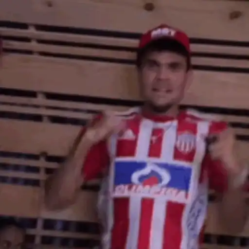 Virales Animados 3
