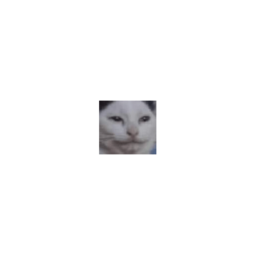 Memememes 28