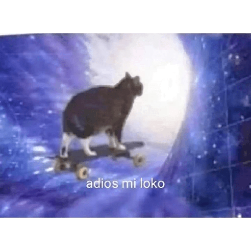 Memememes 24