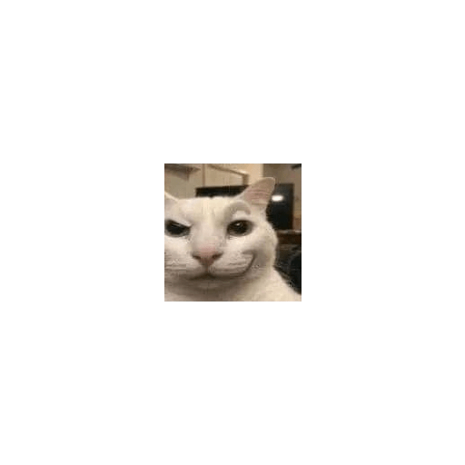 Memememes 14